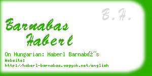 barnabas haberl business card